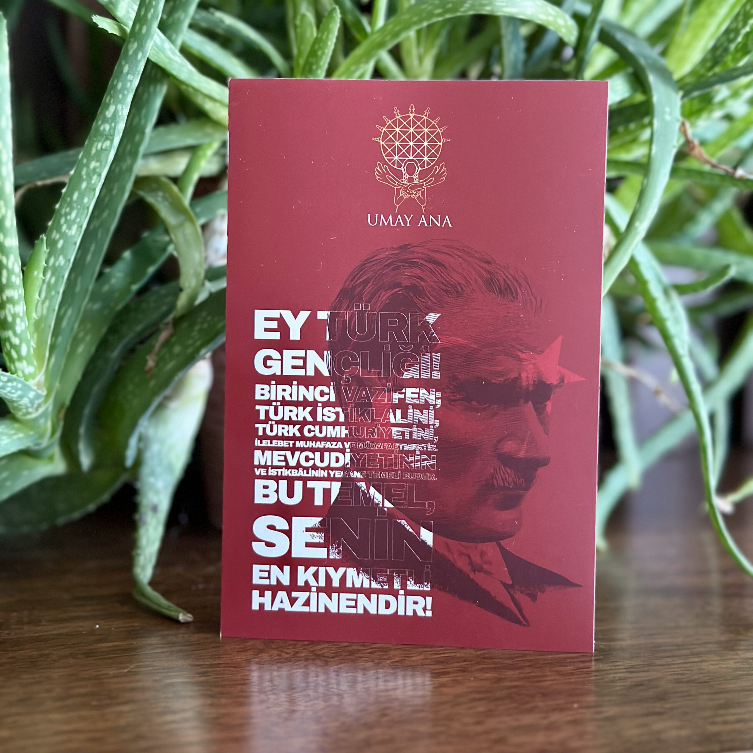 Atatürk Ve Cumhuriyet Temalı Kartpostal - 03